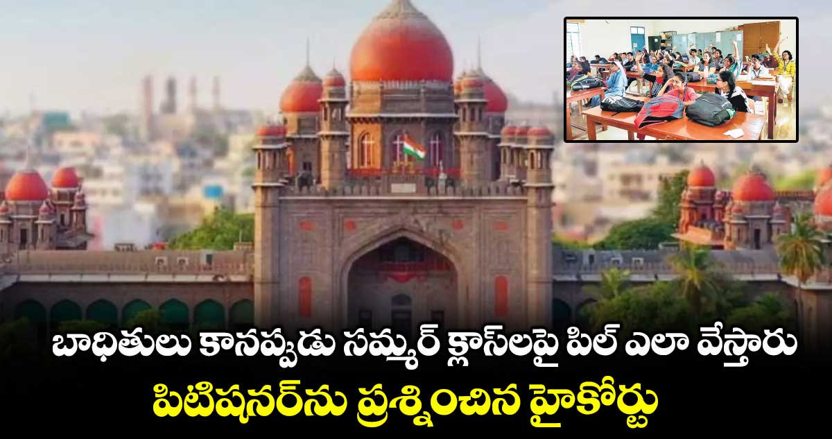బాధితులు కానప్పుడు సమ్మర్ క్లాస్లపై పిల్ ఎలా వేస్తారు .. పిటిషనర్ను ప్రశ్నించిన హైకోర్టు