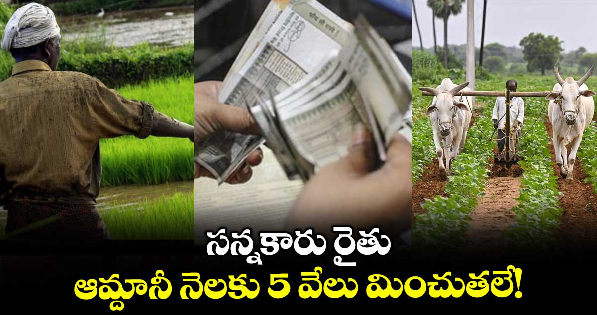 సన్నకారు రైతు ఆమ్దానీ నెలకు5 వేలు మించుతలే!