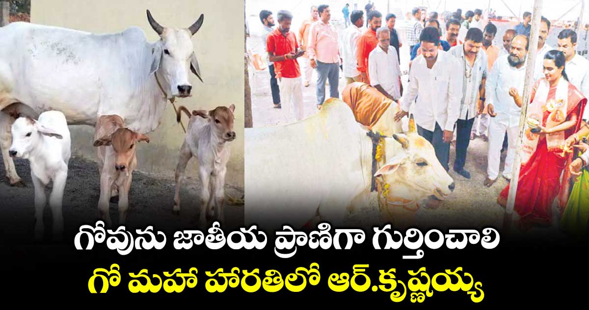 గోవును జాతీయ ప్రాణిగా గుర్తించాలి..గో మహా హారతిలో ఆర్.కృష్ణయ్య