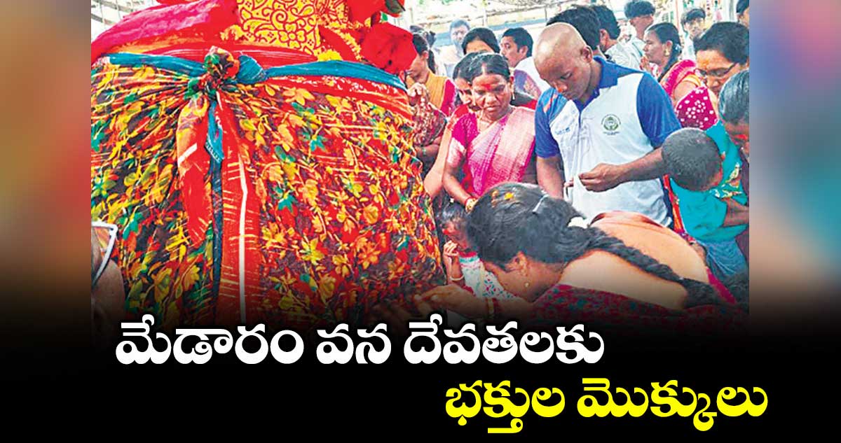 మేడారం వన దేవతలకు భక్తుల మొక్కులు