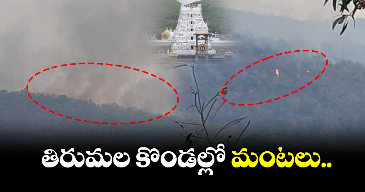 తిరుమల కొండల్లో మంటలు..