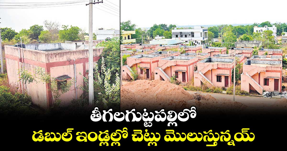 తీగలగుట్టపల్లిలో డబుల్ ఇండ్లల్లో చెట్లు మొలుస్తున్నయ్