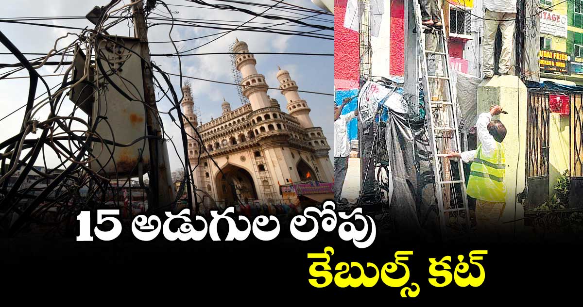 15 అడుగుల లోపు కేబుల్స్ కట్