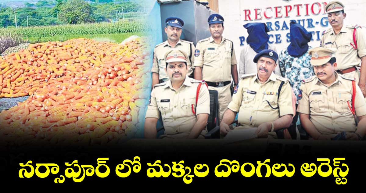 నర్సాపూర్ లో మక్కల దొంగలు అరెస్ట్