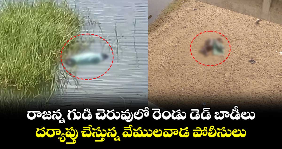 రాజన్న గుడి చెరువులో రెండు డెడ్ బాడీలు.. దర్యాప్తు చేస్తున్న వేములవాడ పోలీసులు