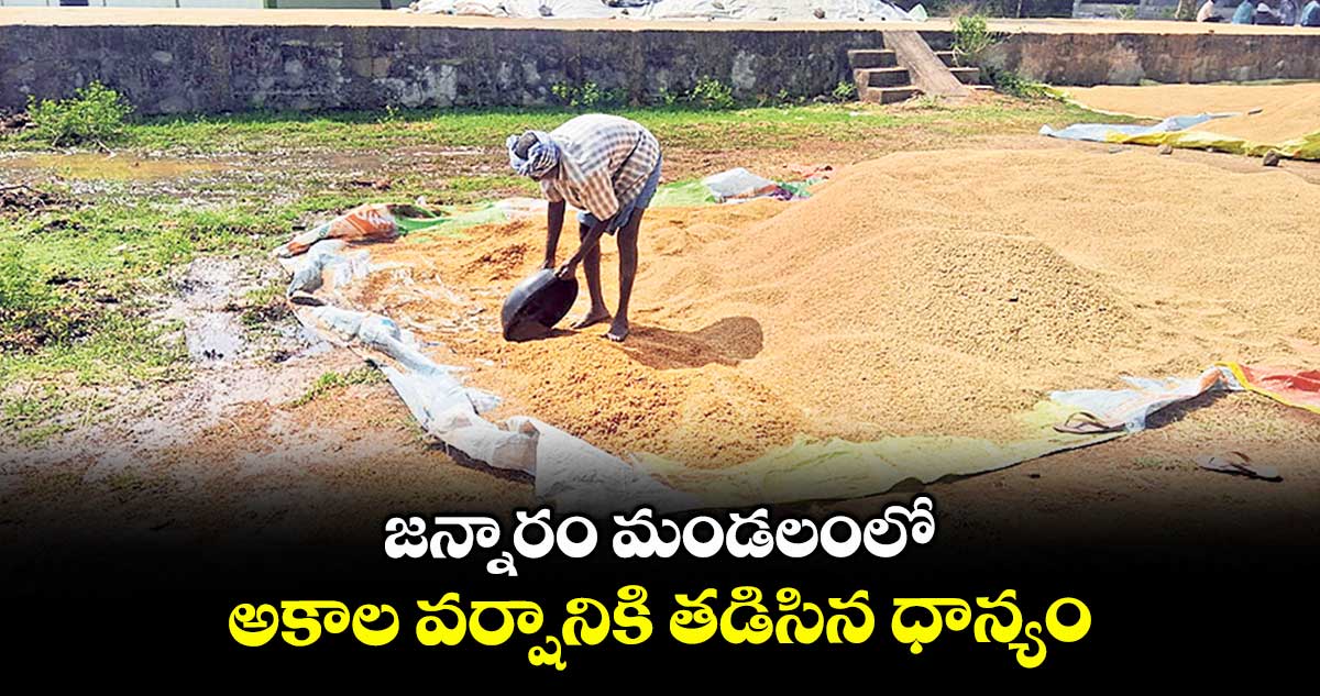 జన్నారం మండలంలో అకాల వర్షానికి తడిసిన ధాన్యం