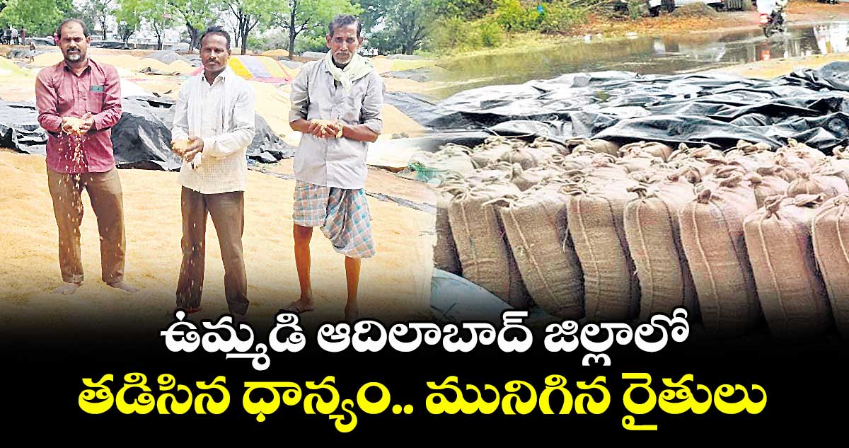 ఉమ్మడి ఆదిలాబాద్ జిల్లాలో తడిసిన ధాన్యం.. మునిగిన రైతులు