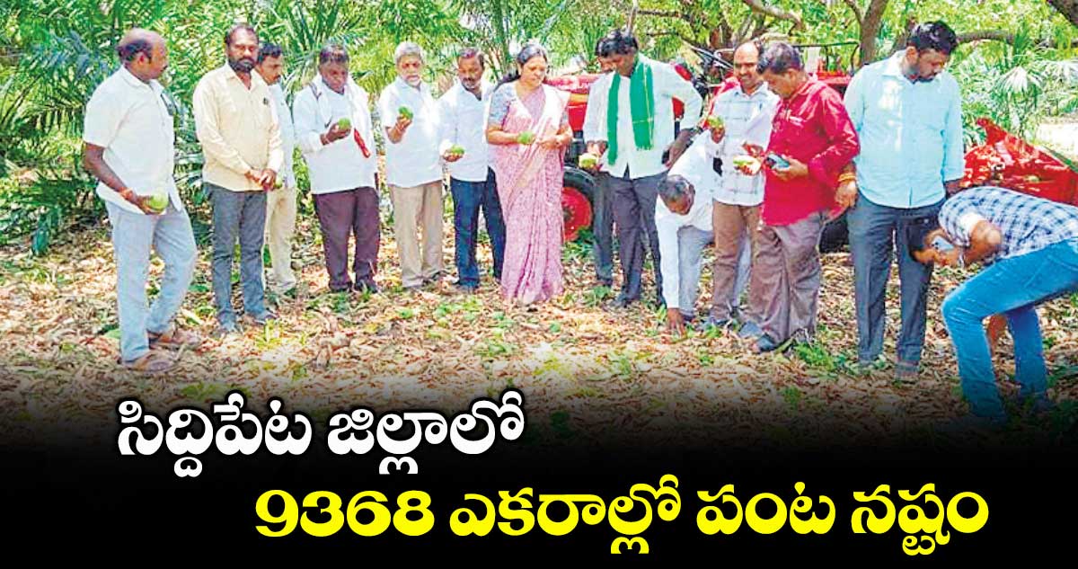 సిద్దిపేట జిల్లాలో 9368 ఎకరాల్లో పంట నష్టం