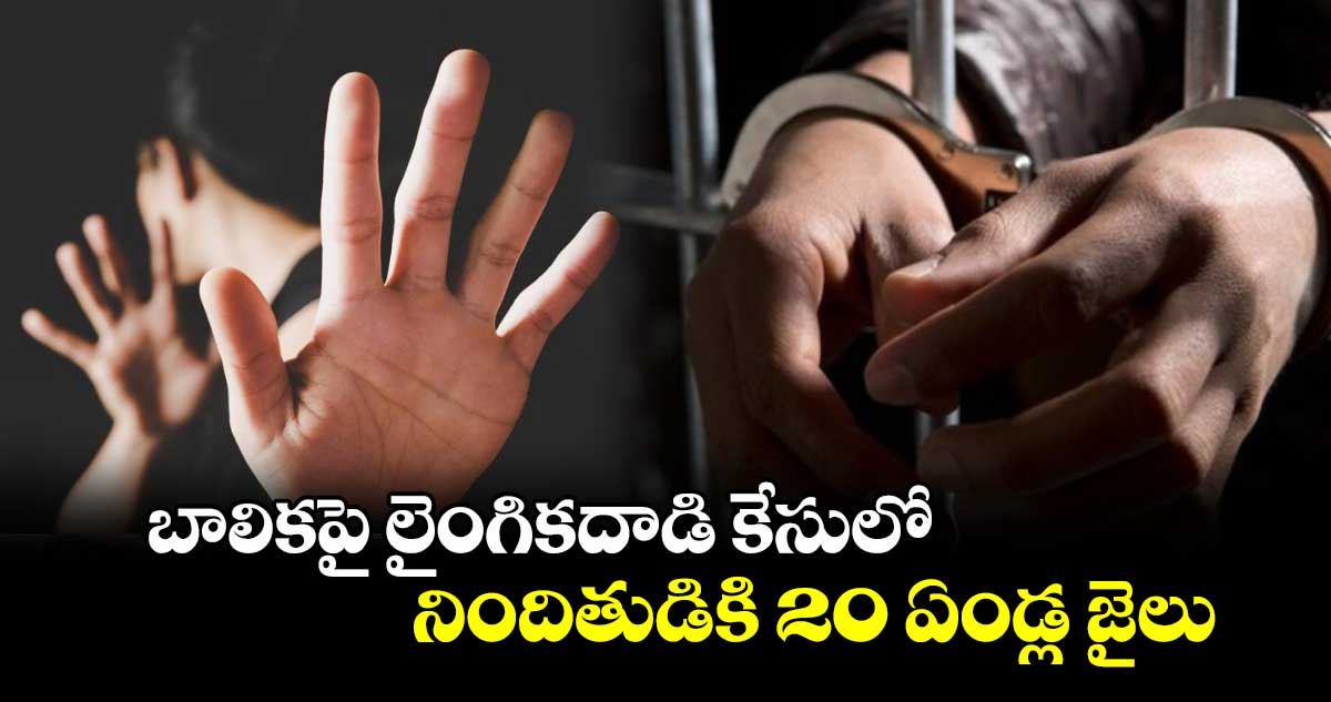 బాలికపై లైంగికదాడి కేసులో నిందితుడికి 20 ఏండ్ల జైలు