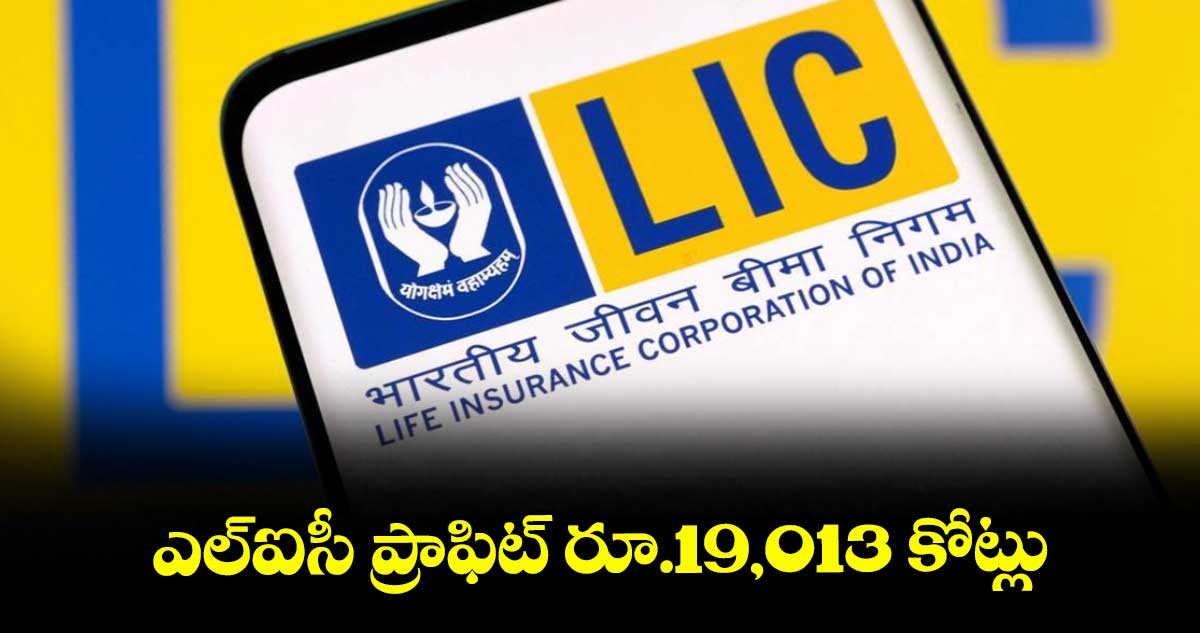 ఎల్ఐసీ ప్రాఫిట్ రూ.19,013 కోట్లు