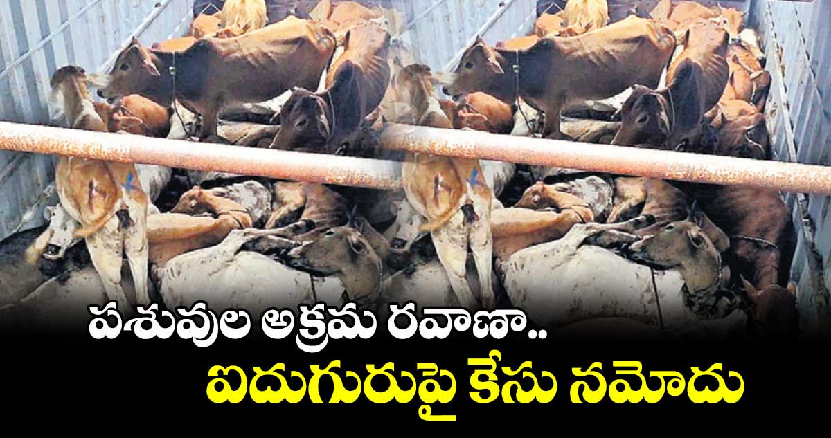 పశువుల అక్రమ రవాణా.. ఐదుగురుపై కేసు నమోదు