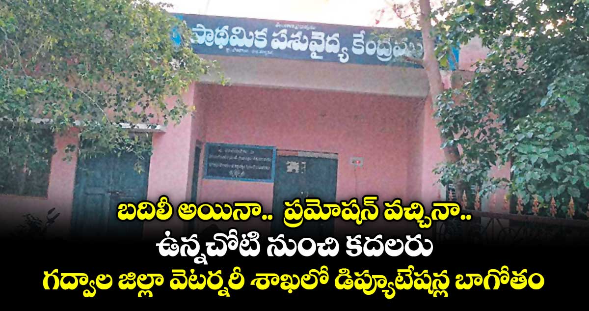 బదిలీ అయినా.. ప్రమోషన్ వచ్చినా.. ఉన్నచోటి నుంచి కదలరు గద్వాల జిల్లా వెటర్నరీ శాఖలో డిప్యూటేషన్ల బాగోతం