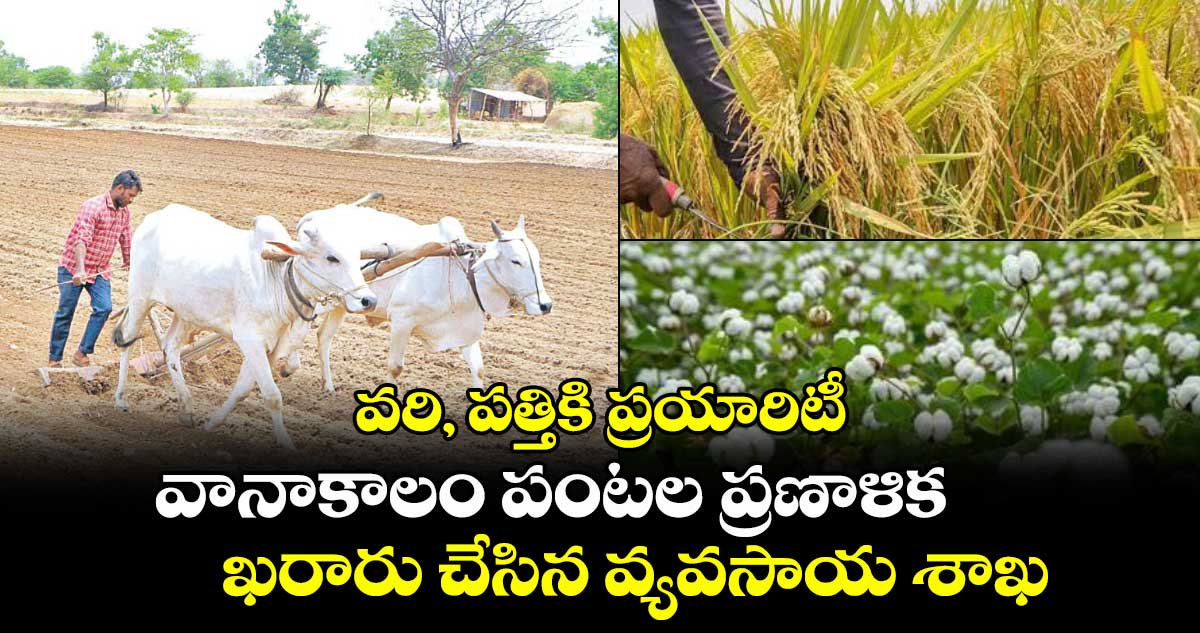 వరి, పత్తికి ప్రయారిటీ.. వానాకాలం పంటల ప్రణాళిక ఖరారు చేసిన వ్యవసాయ శాఖ