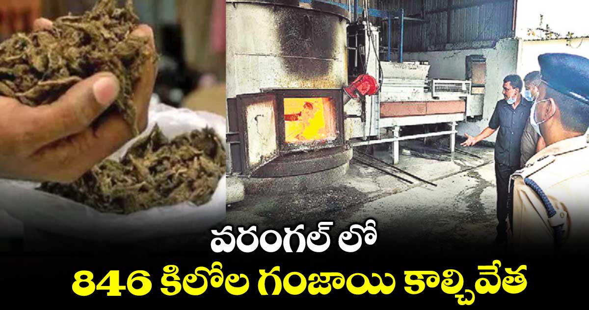 వరంగల్ లో 846 కిలోల గంజాయి కాల్చివేత