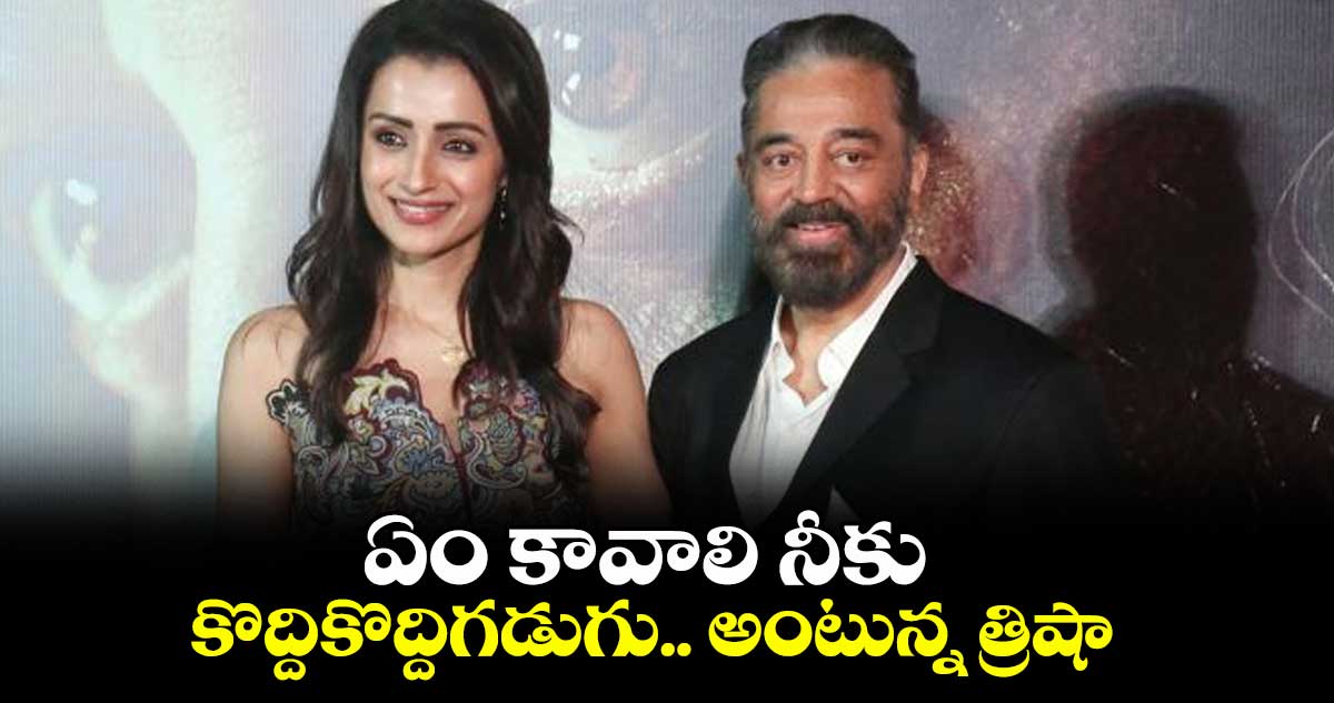 ఏం కావాలి నీకు.. కొద్దికొద్దిగడుగు.. అంటున్న త్రిషా