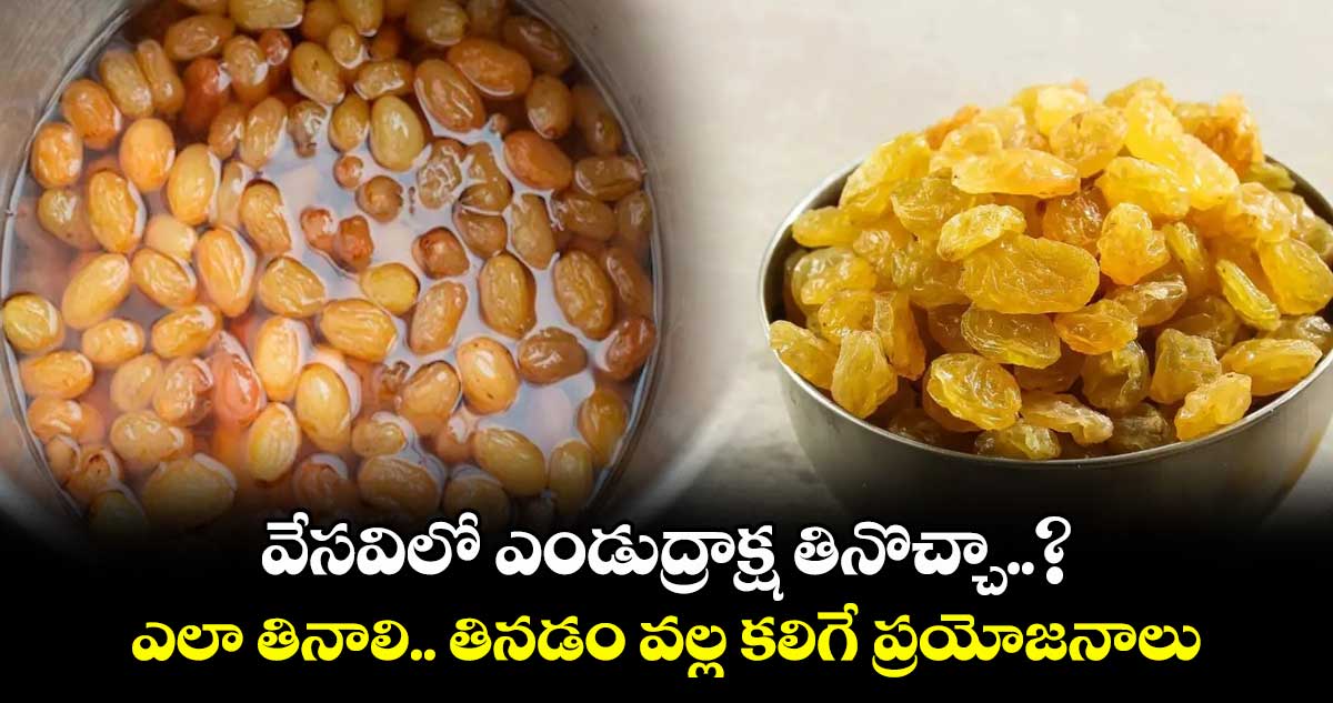 వేసవిలో ఎండుద్రాక్ష తినొచ్చా..? ఎలా తినాలి.. తినడం వల్ల కలిగే ప్రయోజనాలు