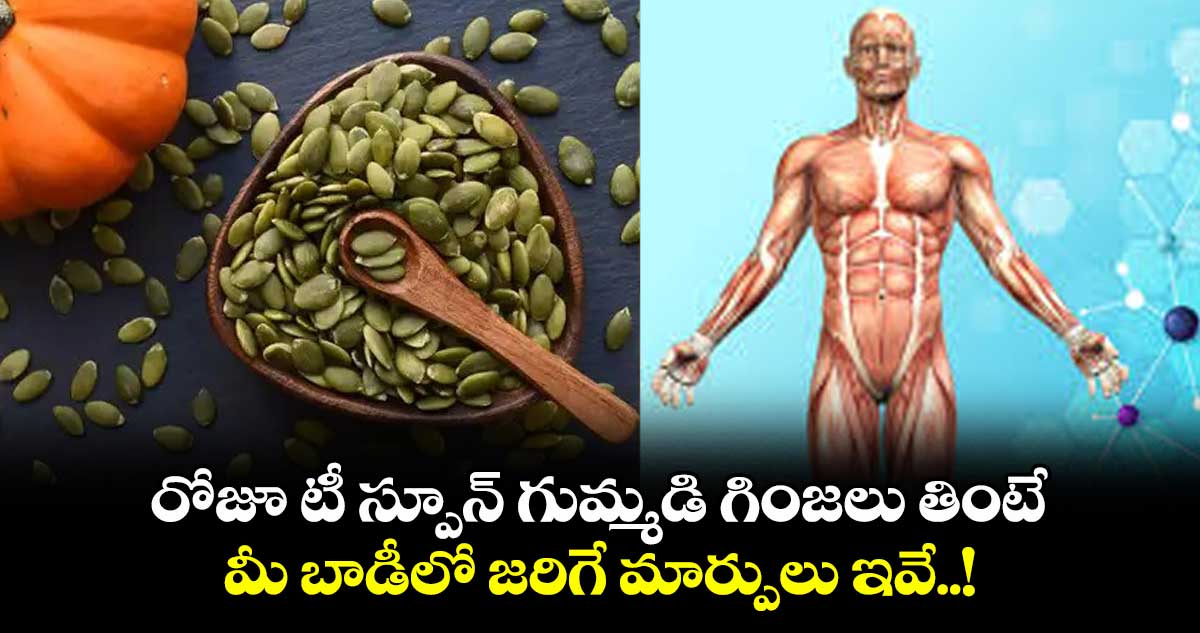 Health Tips: రోజూ టీ స్పూన్ గుమ్మడి గింజలు తింటే.. మీ బాడీలో జరిగే మార్పులు ఇవే..!