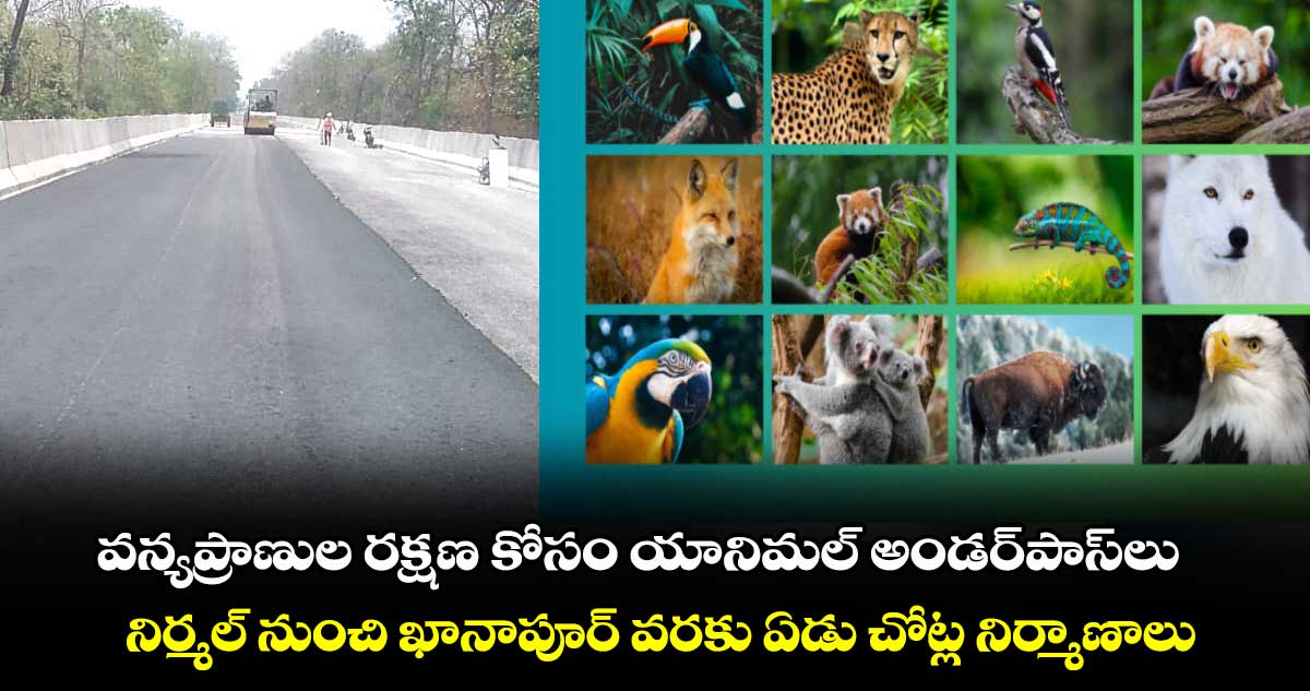 వన్యప్రాణుల రక్షణ కోసం యానిమల్ అండర్పాస్లు .. నిర్మల్ నుంచి ఖానాపూర్ వరకు ఏడు చోట్ల నిర్మాణాలు