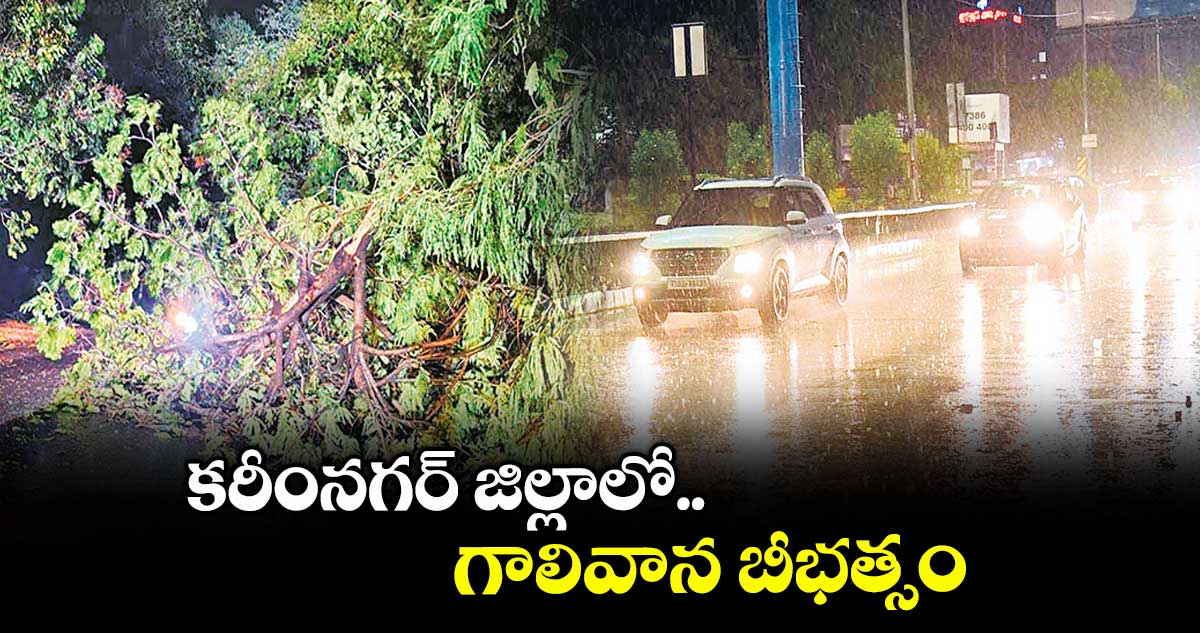కరీంనగర్ జిల్లాలో గాలివాన బీభత్సం