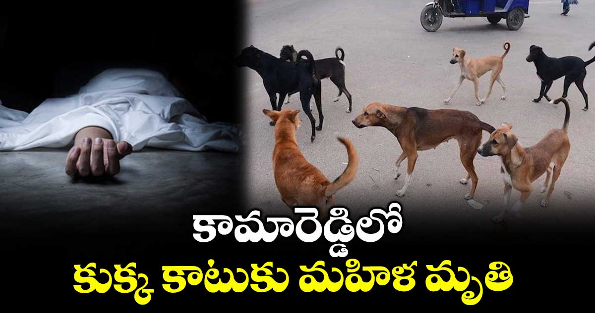 కామారెడ్డిలో కుక్క కాటుకు మహిళ మృతి