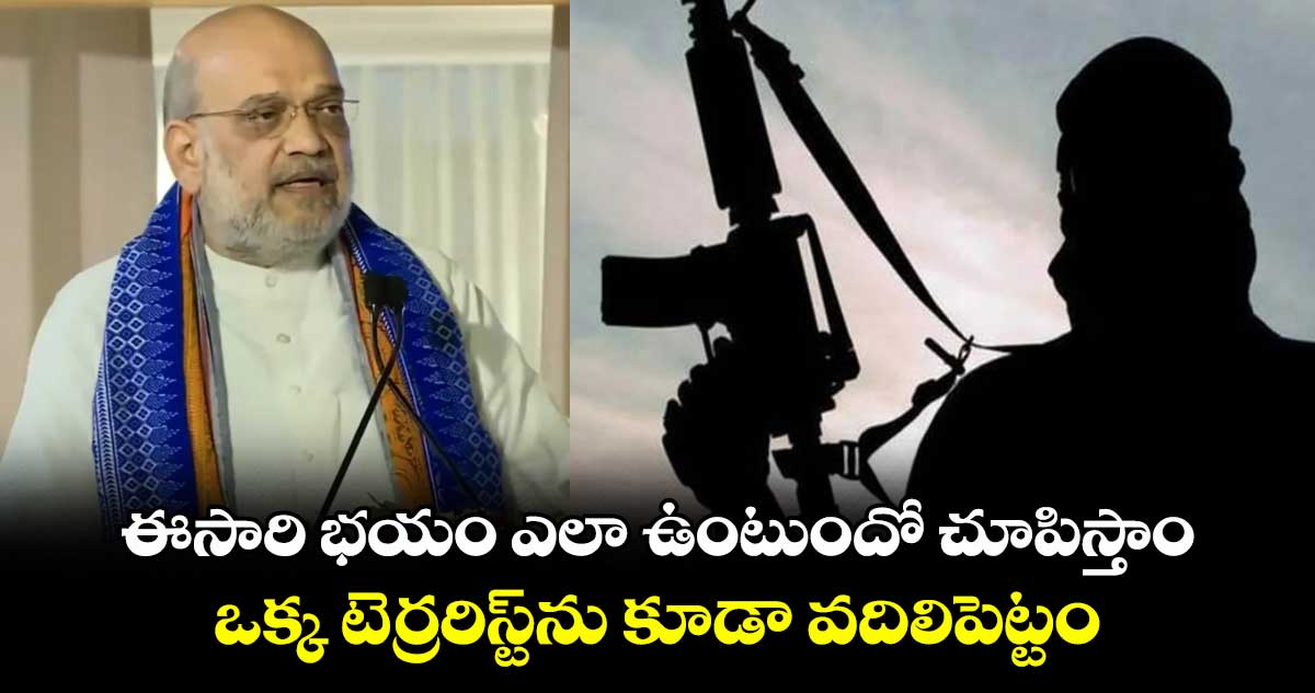 ఈసారి భయం ఎలా ఉంటుందో చూపిస్తాం: ఒక్క టెర్రరిస్ట్‎ను కూడా వదిలిపెట్టం: అమిత్ షా వార్నింగ్