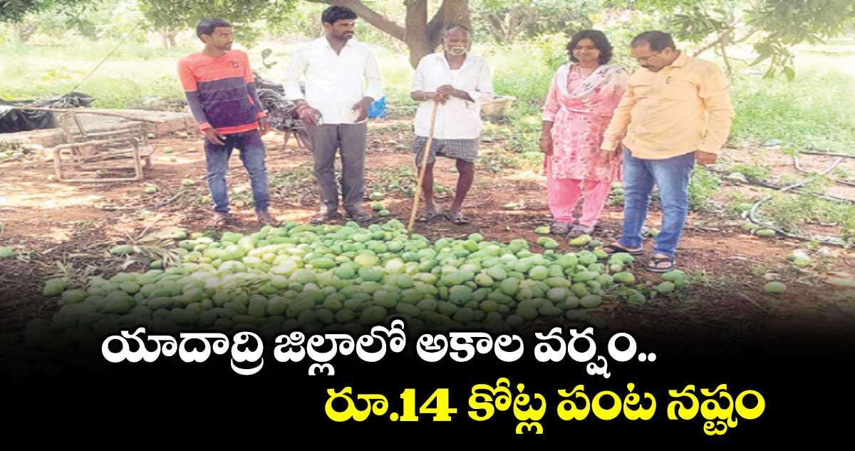 యాదాద్రి జిల్లాలో అకాల వర్షం.. రూ.14 కోట్ల పంట నష్టం