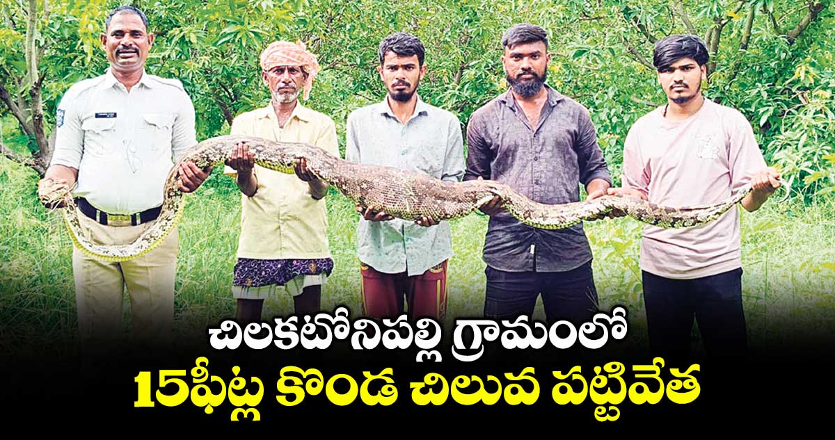 చిలకటోనిపల్లి గ్రామంలో 15ఫీట్ల కొండ చిలువ పట్టివేత