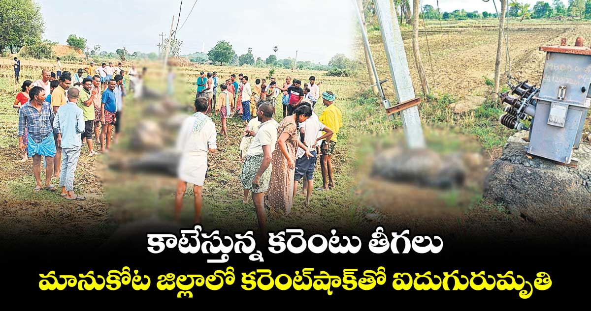కాటేస్తున్న కరెంటు తీగలు.. మానుకోట జిల్లాలో కరెంట్​షాక్​తో ఐదుగురుమృతి