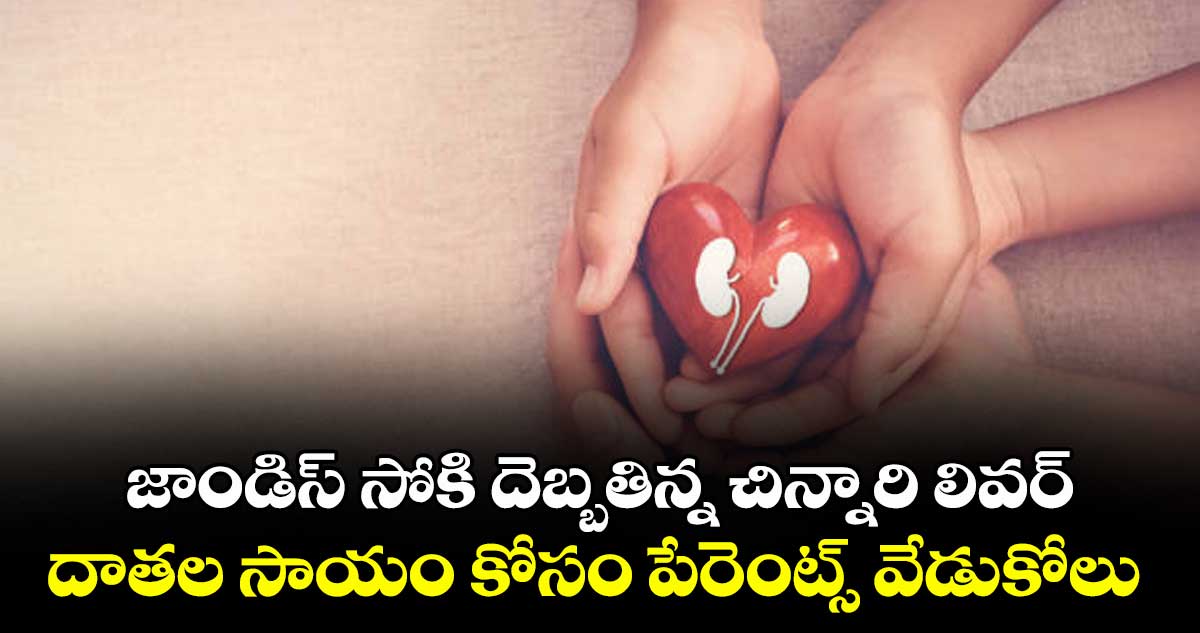 జాండిస్ సోకి దెబ్బతిన్న చిన్నారి లివర్ .. దాతల సాయం కోసం పేరెంట్స్ వేడుకోలు