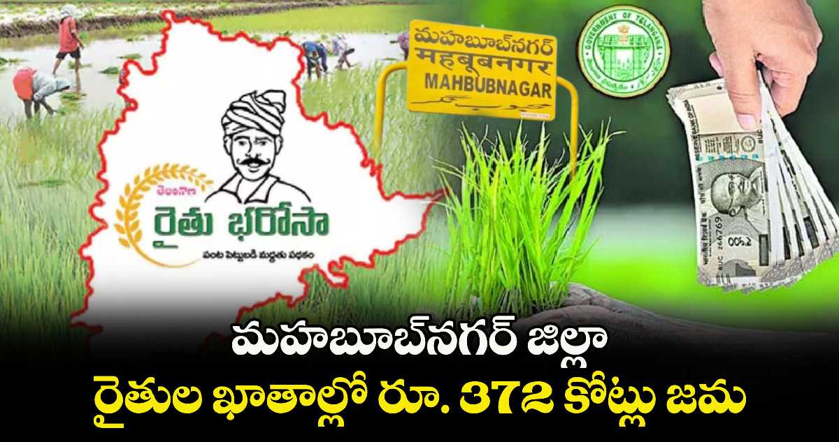 మహబూబ్ నగర్ జిల్లా : రైతుల ఖాతాల్లో రూ. 372 కోట్లు జమ