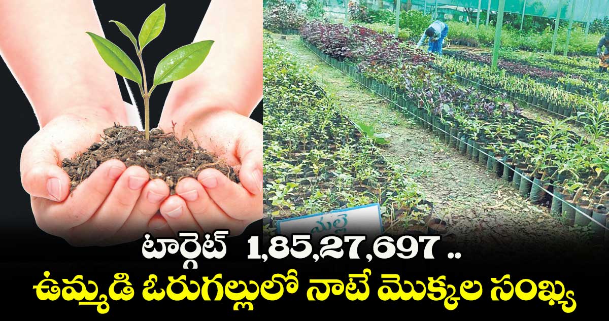 టార్గెట్ 1,85,27,697 .. ఉమ్మడి ఓరుగల్లులో నాటే మొక్కల సంఖ్య