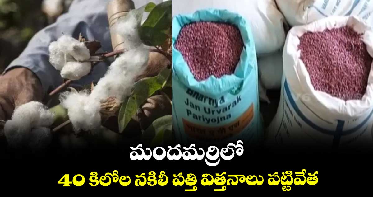 మందమర్రిలో 40 కిలోల నకిలీ పత్తి విత్తనాలు పట్టివేత