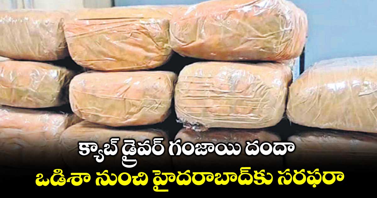 క్యాబ్ డ్రైవర్ గంజాయి దందా .. ఒడిశా నుంచి హైదరాబాద్కు సరఫరా