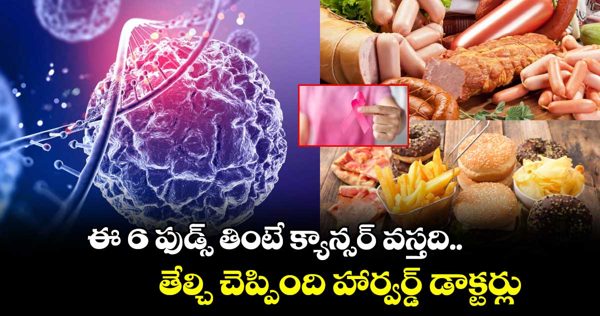 Cancer Foods: ఈ 6 ఫుడ్స్ తింటే క్యాన్సర్ వస్తది.. తేల్చి చెప్పింది హార్వర్డ్ డాక్టర్లు