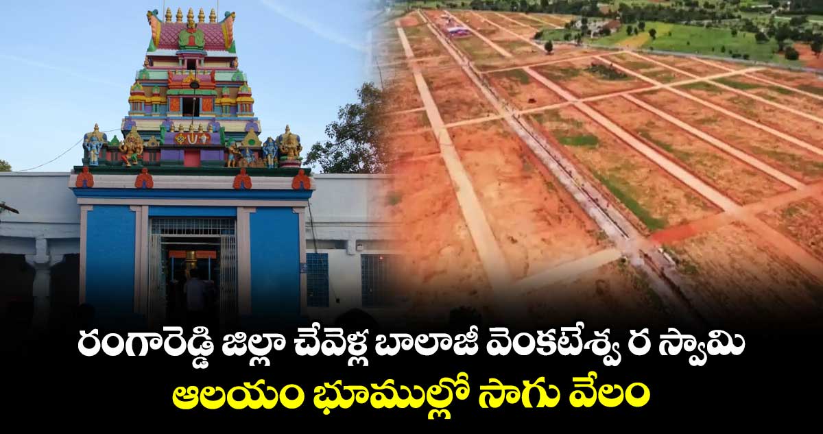 రంగారెడ్డి జిల్లా చేవెళ్ల బాలాజీ వెంకటేశ్వ ర స్వామి ఆలయం భూముల్లో సాగు వేలం