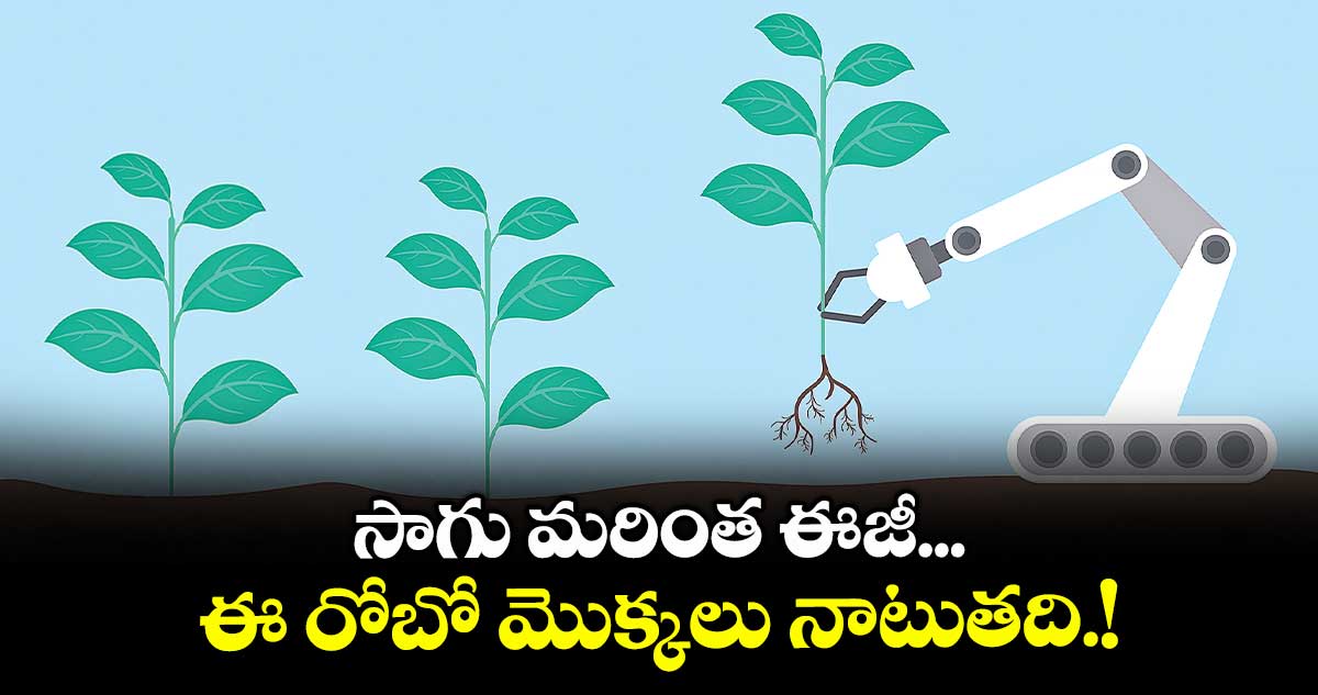 సాగు మరింత ఈజీ... ఈ రోబో మొక్కలు నాటుతది.!