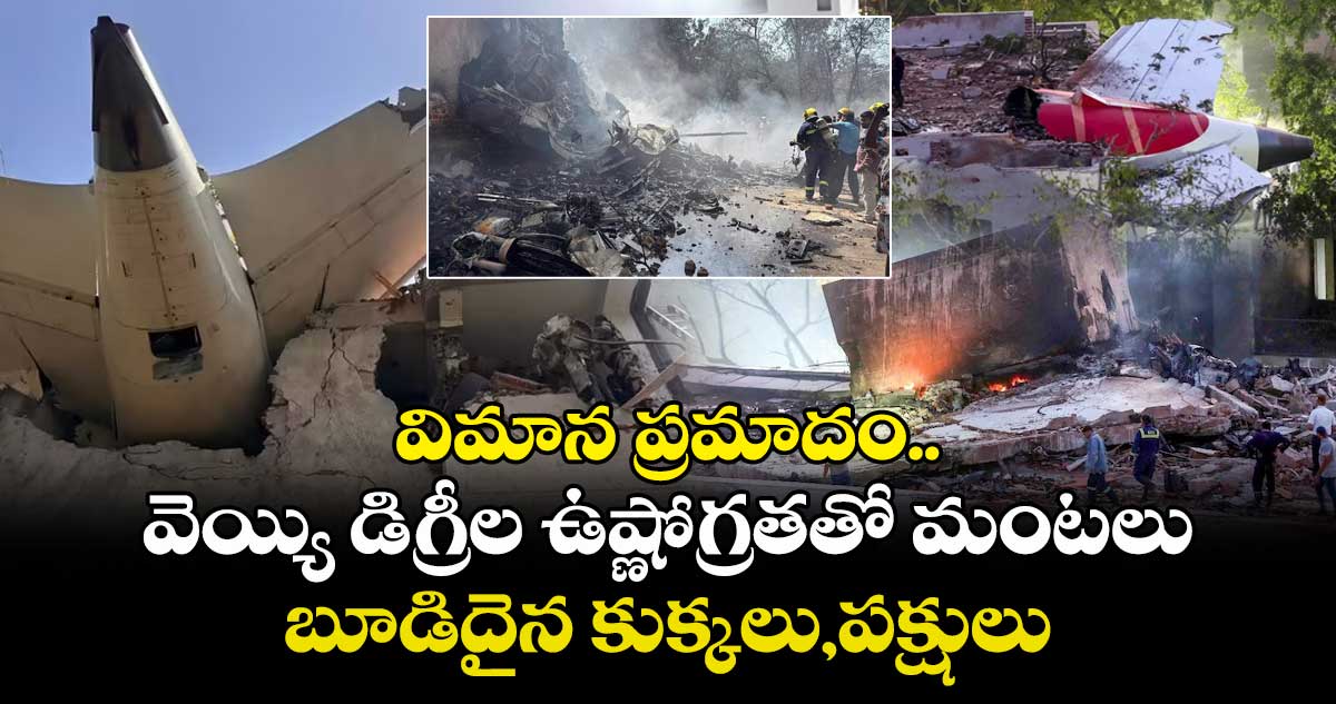 విమాన ప్రమాదం.. వెయ్యి డిగ్రీల ఉష్ణోగ్రతతో మంటలు