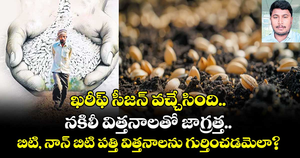 ఖరీఫ్ సీజన్ వచ్చేసింది.. నకిలీ విత్తనాలతో జాగ్రత్త.. బిటి, నాన్ బిటి పత్తి విత్తనాలను గుర్తించడమెలా?
