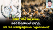 ఖరీఫ్ సీజన్ వచ్చేసింది.. నకిలీ విత్తనాలతో జాగ్రత్త.. బిటి, నాన్ బిటి పత్తి విత్తనాలను గుర్తించడమెలా?