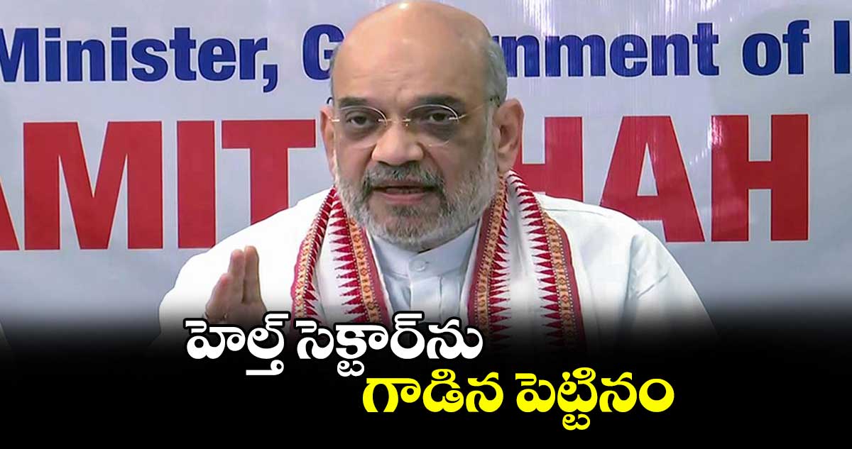 హెల్త్ సెక్టార్ను గాడిన పెట్టినం : మంత్రి అమిత్ షా