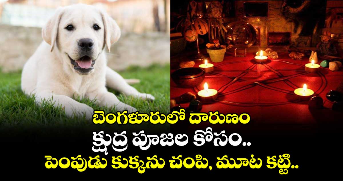 బెంగళూరులో దారుణం: క్షుద్ర పూజల కోసం.. పెంపుడు కుక్కను చంపి, మూట కట్టి..