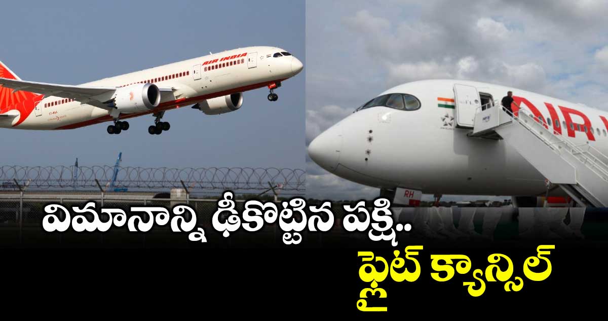 Air India: విమానాన్ని ఢీకొట్టిన పక్షి.. ఫ్లైట్ క్యాన్సిల్