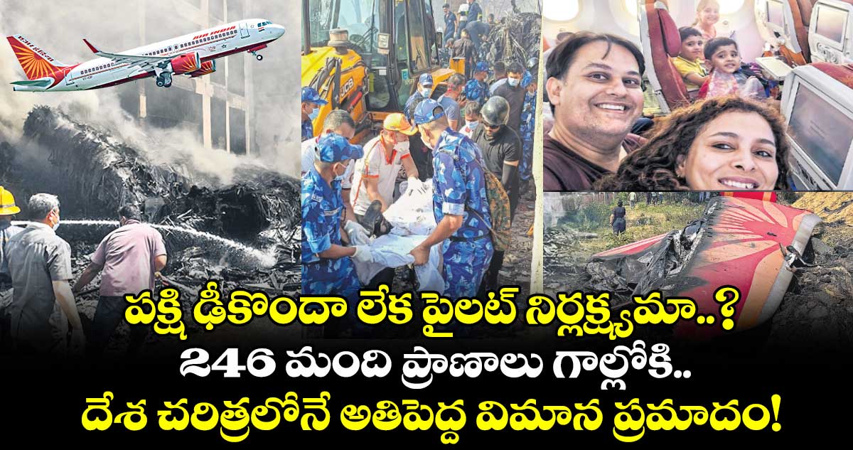 పక్షి ఢీకొందా లేక పైలట్ నిర్లక్ష్యమా..? 246 మంది ప్రాణాలు గాల్లోకి.. దేశ చరిత్రలోనే అతిపెద్ద విమాన ప్రమాదం!
