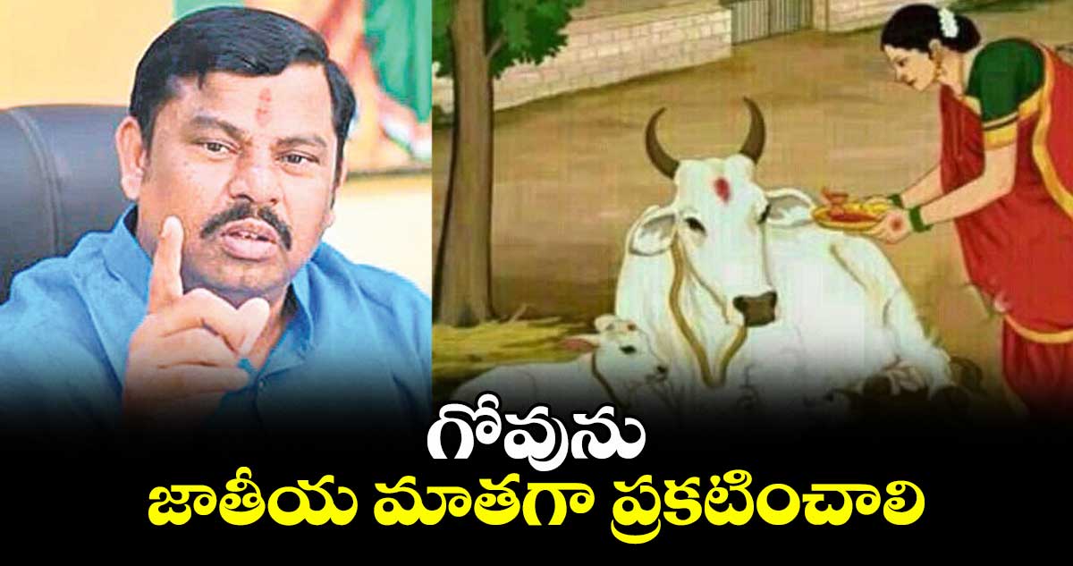 గోవును జాతీయ మాతగా ప్రకటించాలి : రాజాసింగ్