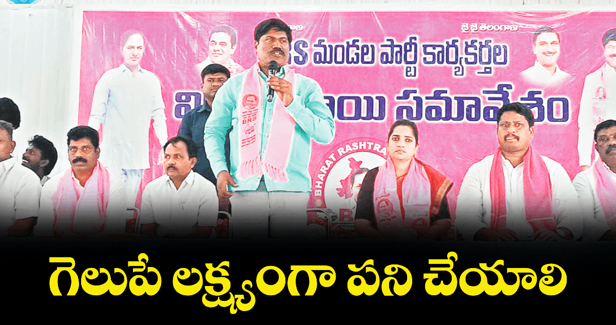 గెలుపే లక్ష్యంగా పని చేయాలి  : మాజీ ఎమ్మెల్యే పెద్ద సుదర్శన్రెడ్డి 
