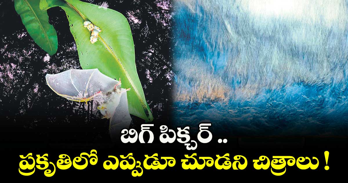 బిగ్ పిక్చర్ .. ప్రకృతిలో ఎప్పుడూ చూడని చిత్రాలు !