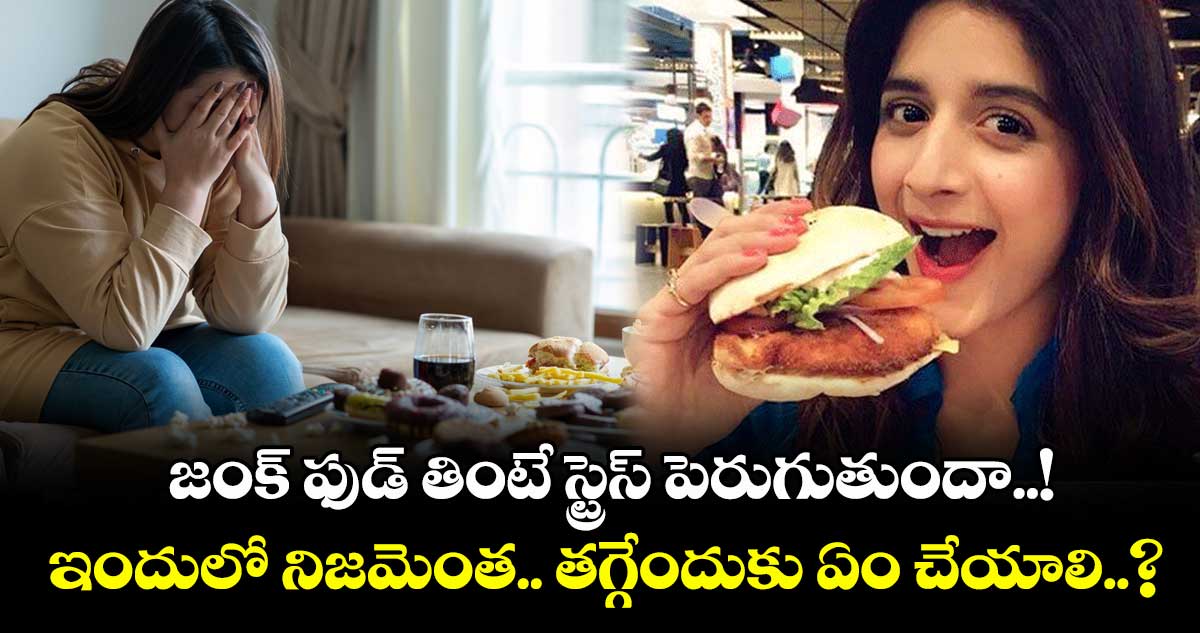 జంక్ ఫుడ్ తింటే స్ట్రెస్ పెరుగుతుందా..! ఇందులో నిజమెంత.. తగ్గేందుకు ఏం చేయాలి..?