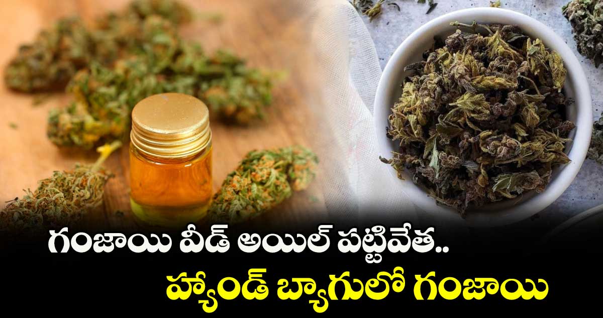 గంజాయి వీడ్ అయిల్ పట్టివేత.. హ్యాండ్ బ్యాగులో గంజాయి