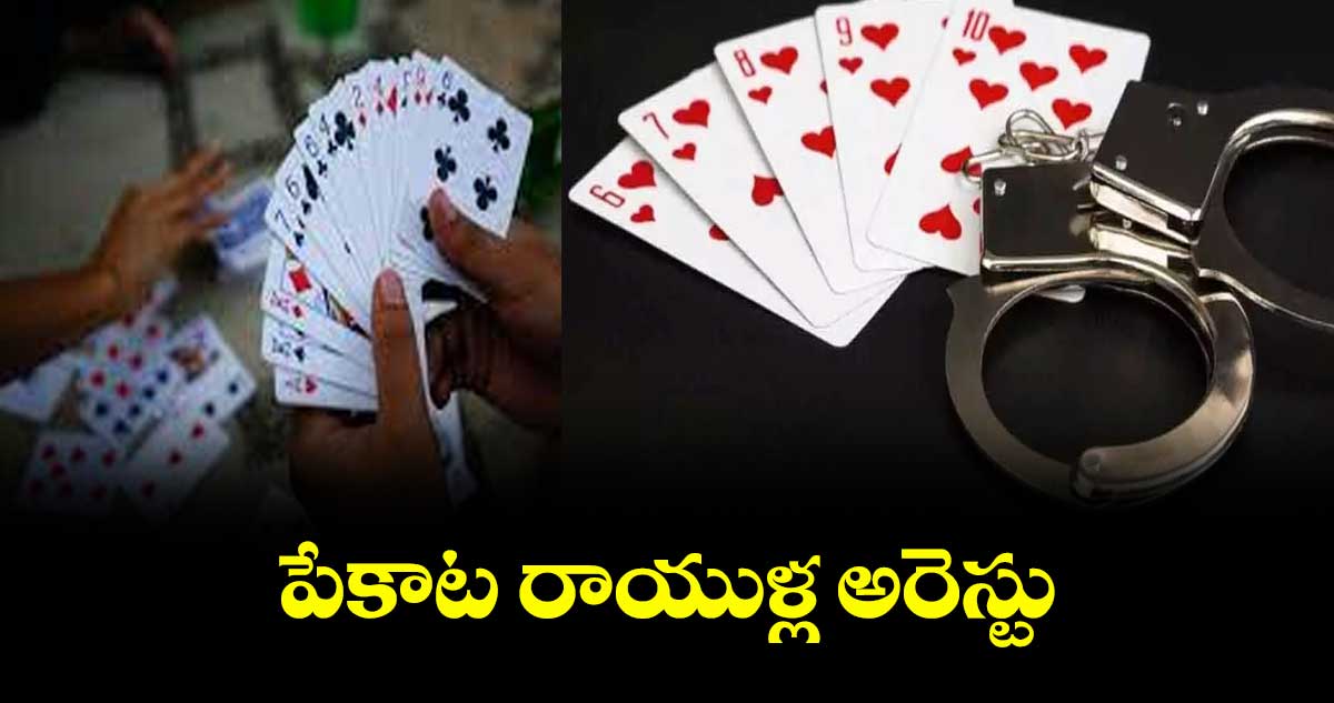 పేకాట రాయుళ్ల అరెస్టు