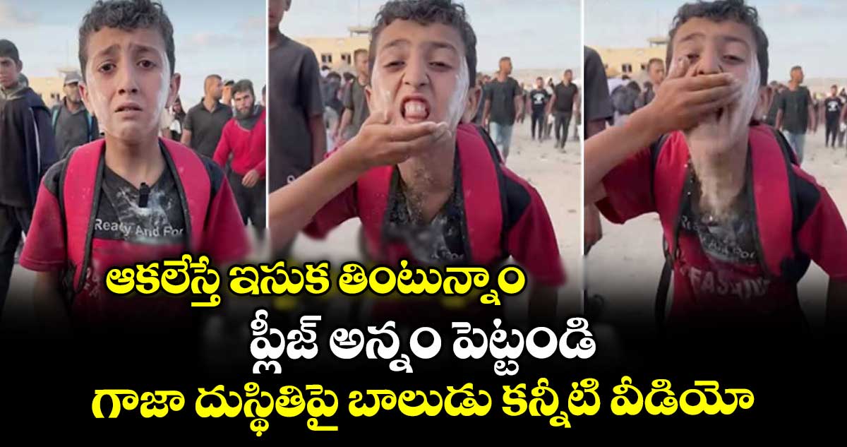 ఆకలేస్తే ఇసుక తింటున్నాం.. ప్లీజ్ అన్నం పెట్టండి : గాజా దుస్థితిపై బాలుడు కన్నీటి వీడియో
